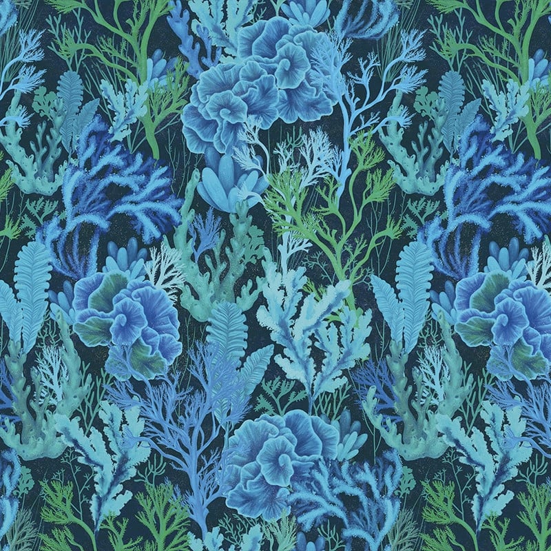 Corallium Cuvier, Blue, VLAdiLA